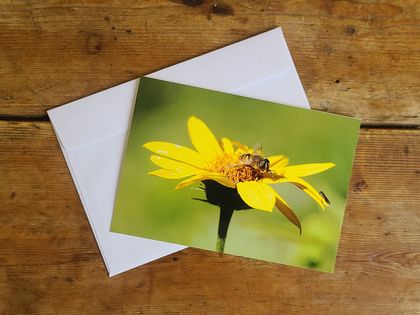Greeting Card: Drone Fly & Hover Fly